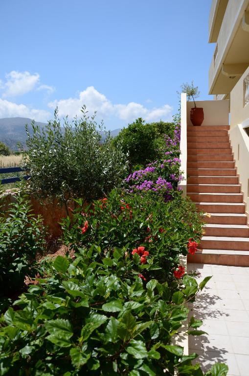 Cretan Family Apartments Mália Kültér fotó